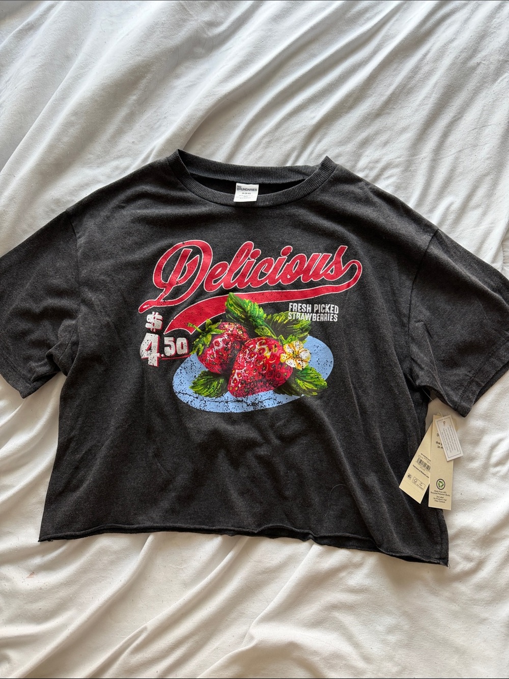 No Boundaries Cropped Tee
